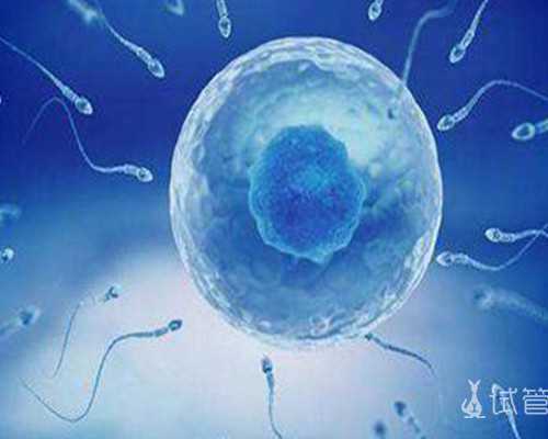 国内正规供卵公司排名,没有卵黄囊与这3点原因有关，早期查出需做流产处理