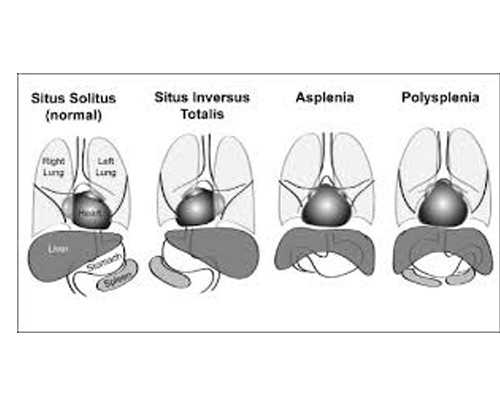 国内代孕费用,广州试管贵吗！附热门医院推荐！