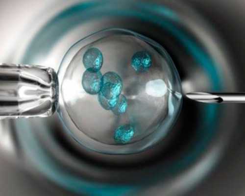 国内供卵代孕的全包费用,桂林有没有卵子库4家医院具备*试管资质