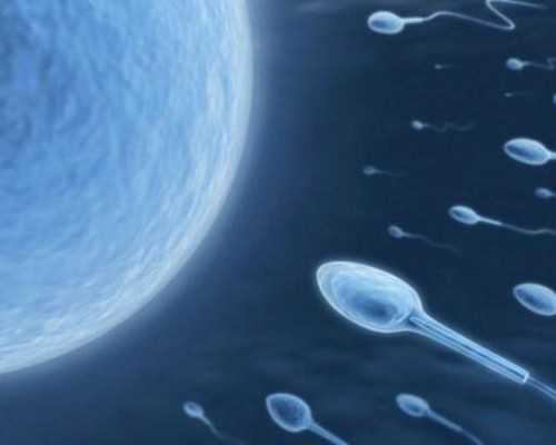 国内代怀包成功,试管婴儿移植后便秘怎么办？