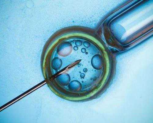 国内专业代怀服务,百分百羊毛大衣会起球吗为什么（百分百羊毛大衣会起球吗）