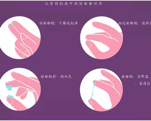 国内供精供卵需要多少钱,老挝三代试管包生男孩费用一览,最终费用以实际费用为标准！