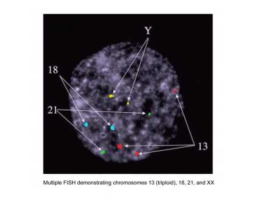 国内地贫捐卵联系,2025年武汉三代试管婴儿医院有哪些？附三代试管医院名单！