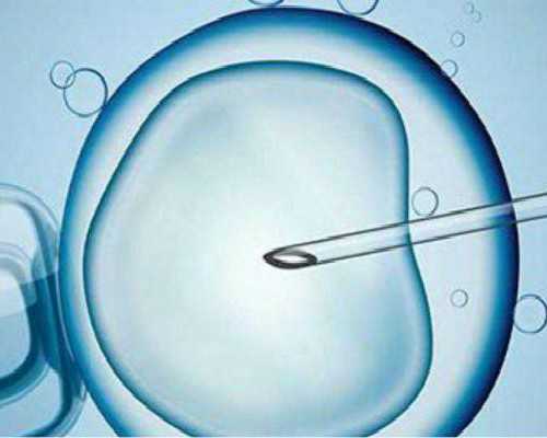 国内供卵哪里可以提供,胎儿性别是从哪一刻决定的？你知道吗？