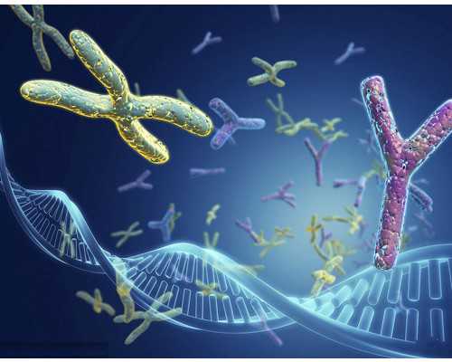 国内有捐卵,2025浙大一院试管婴儿价目表总费用花费明细实例参考