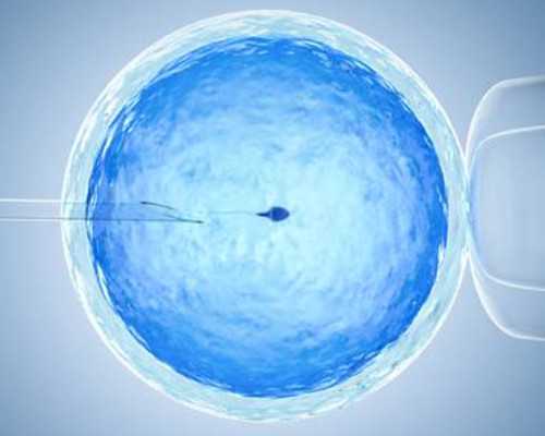 国内10大供卵机构排名,做三代试管费用是怎样的？三代试管婴儿需要多少钱？