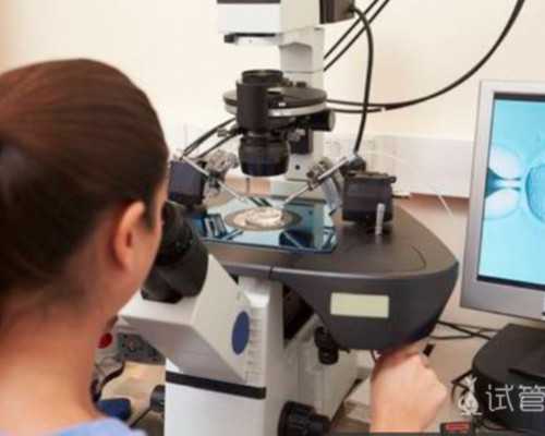 国内哪里有代孕,原肠胚为什么无法进行胚胎移植？