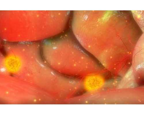 国内医院供卵费用,烟台试管婴儿医院排行(哪家医院更适合你)