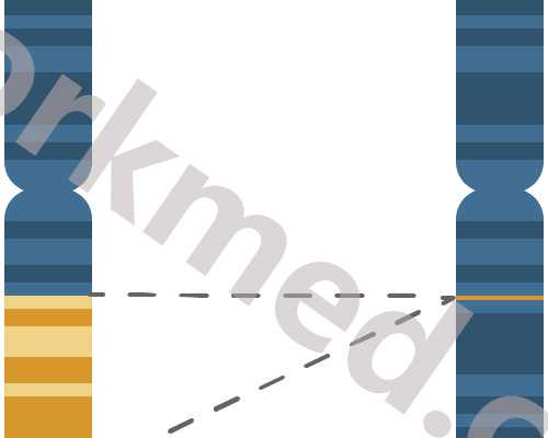 国内供卵试管医院价格详情表,广州试管机构推荐排名