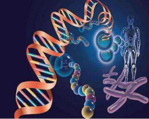 国内有偿捐卵正规,男宝宝郑姓取名大全2025（精选500个）