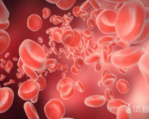 国内大医院哪家供卵,沈阳做试管最好的医院排名？