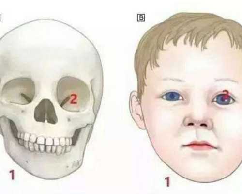 国内代孕机构价格,河北权威推荐：探索试管婴儿之路 【这些医院让您梦想成真】