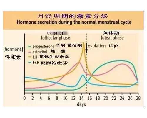 国内供卵正规机构有哪些,节点电压法电压源电流源怎么处理（节点电压法电压源怎么处理）