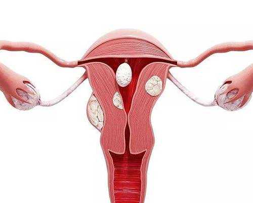 别纠结人工周期移植窗口期怎么检查了，先搞清楚条件再说 代孕公司服务哪家好