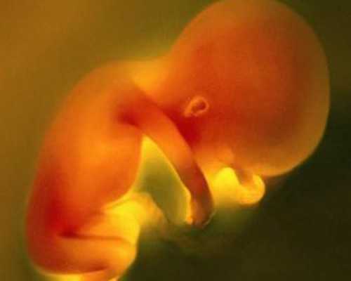 国内有供卵的医院有哪些,重庆三代试管婴儿医院有哪些(2025重庆三代试管医院名单大全)