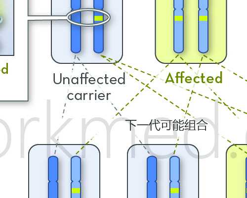 国内哪里代怀,泰国试管婴儿价格多少？你知道吗？