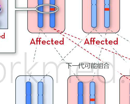 国内医院供卵不排队怎么办,8个卵泡的怀孕成功率预估 高龄试管婴儿