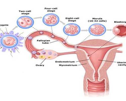 国内私立供卵中心,山西我想做三代试管生一个女孩