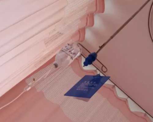 国内供卵公司地址查询,试管婴儿长大后有生育能力吗？