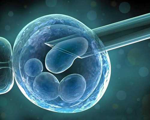 国内代怀孕哪里靠谱,海口试管婴儿之十大做试管期间不能做的事！