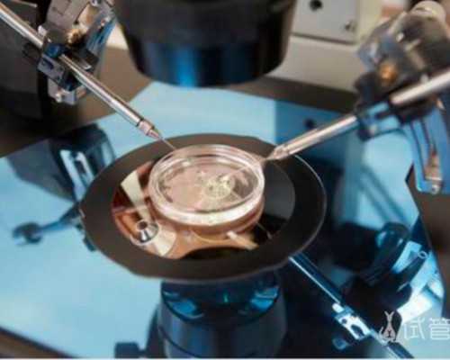 国内试管供卵生子的医院,降调复查34天可不可以去分人，28天和29天区别不大