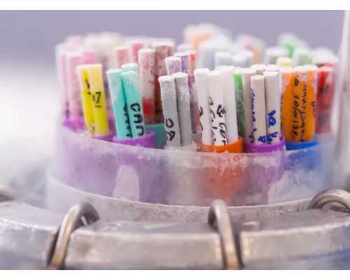 国内供卵需要准备什么,国庆节假日值班要求（节假日值班要求）