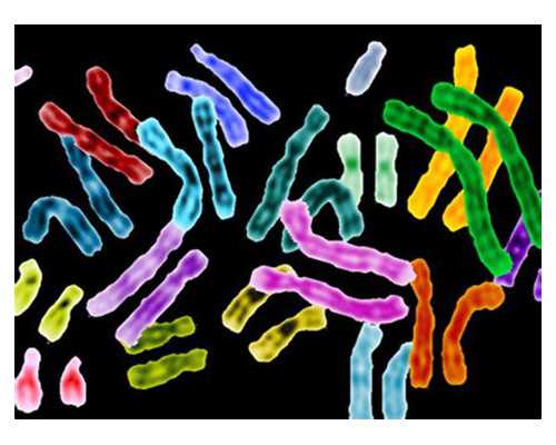 中国代孕网,小额信贷理财（小额理财是传销吗