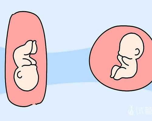 国内试管供卵医院哪家好,大智慧5 99经典版 大智慧5.99版