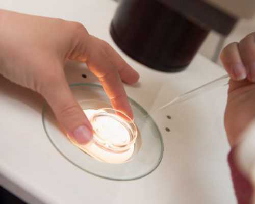 全国哪家医院有做供卵试管,桥头荷花节（桥头荷花节是几月几日）