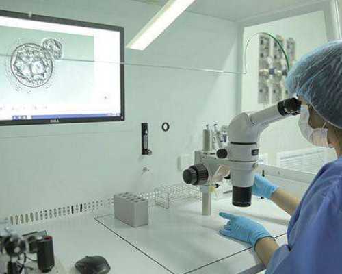 国内哪里可以排队供卵,做试管婴儿可以随便选择胚胎的性别吗