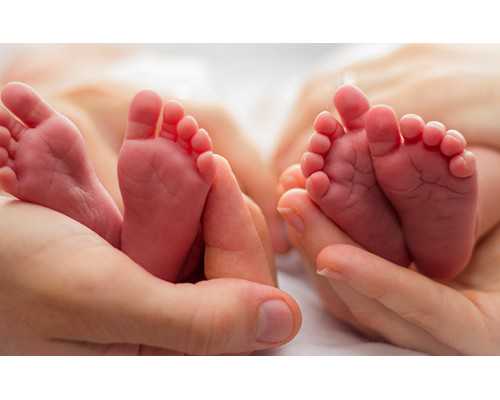 国内代孕的公司有哪些,曾母投杼（关于曾母投杼介绍）