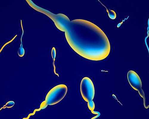 代生宝宝网,代怀在线咨询,日本试管婴儿助孕中介可以助孕吗(日本的试管婴儿成功率高吗)