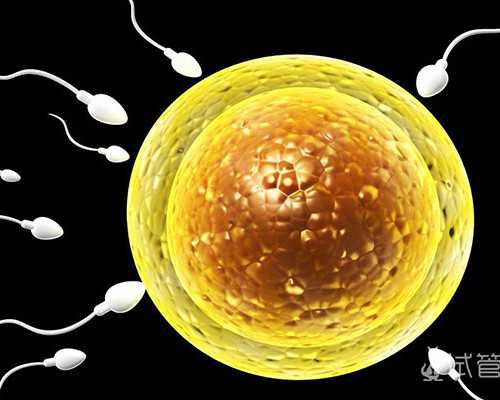 国内供卵代生机构排名,今年的nic三代试管婴儿时间长吗，附各项费用情况！