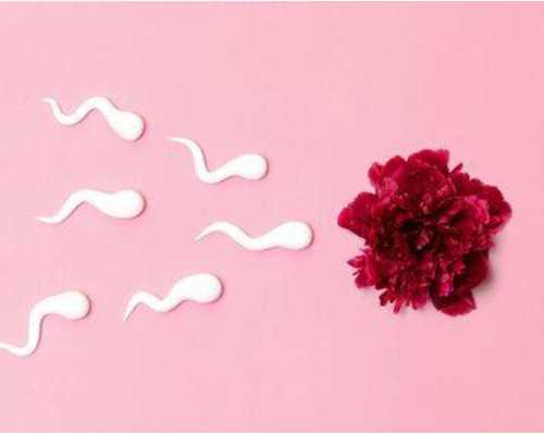 国内三代试管供卵机构,试管婴儿移植后下床会怎样，来看看为什么移植后不能立刻下床