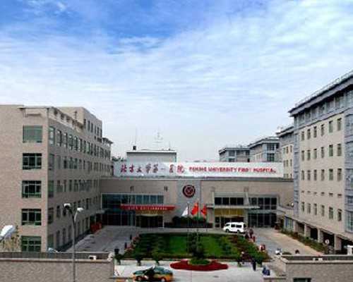 国内代生付费方式,能量补充剂的作用，试管后黄体酮的原理及应用