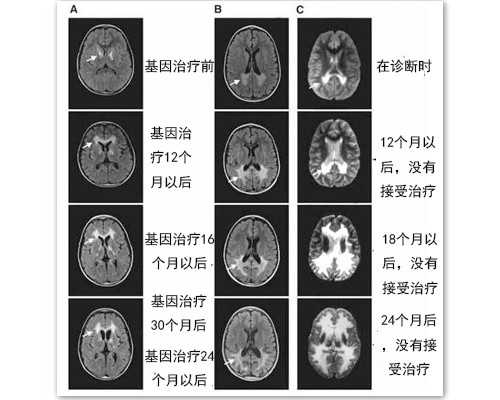 国内供卵最大的机构是哪个,云南试管婴儿成功率最高的医院,在云南哪家做试管最好的