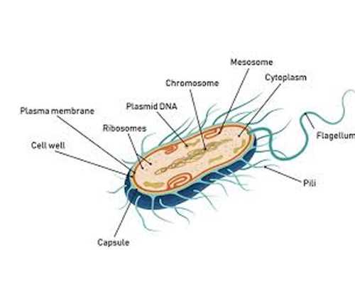 全国有哪些医院供卵医院,老黄历上2025虎年生男生女表长什么样？