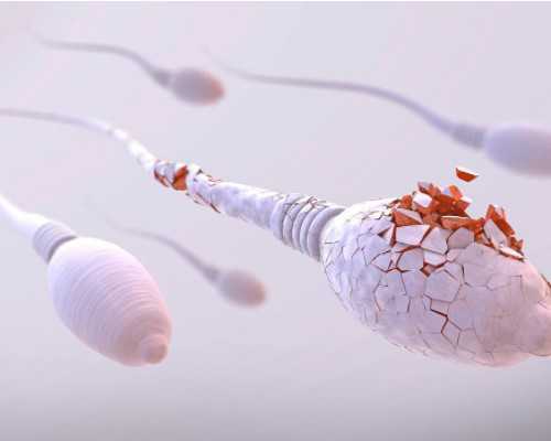 国内代怀哪里好,三代试管婴儿收费标准是什么，最新报价数据公布