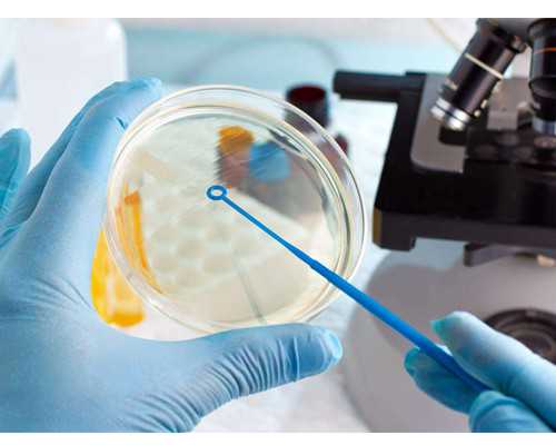 中国供卵中心有哪些公司,海南试管婴儿医院，最新成功率排行榜请查收。