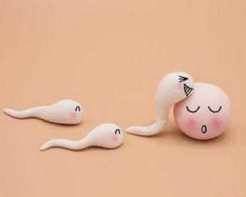 国内哪家医院可以供卵试管好,中医奶奶偏方轻松止孕吐，这些中药方保管你没尝试过