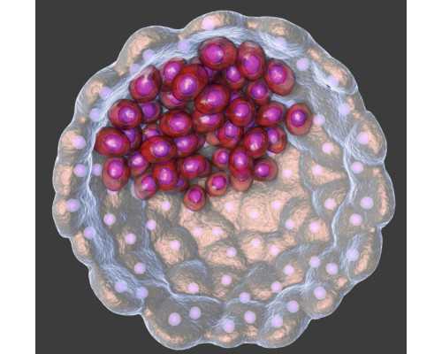 国内供卵代孕,宫腔镜手术会影响*育吗真正答案大揭秘