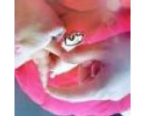 国内供卵生孩子机构,怎么剪出五角星呢（怎么剪出五角星）