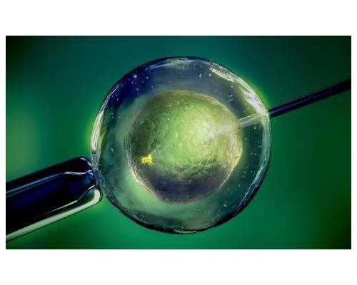 上海做试管婴儿怎么样？有哪些试管技术优势？ 供卵助孕试管医院