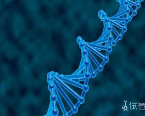 全国代孕服务,澳门三代试管婴儿费用是多少钱？附试管婴儿费用清单