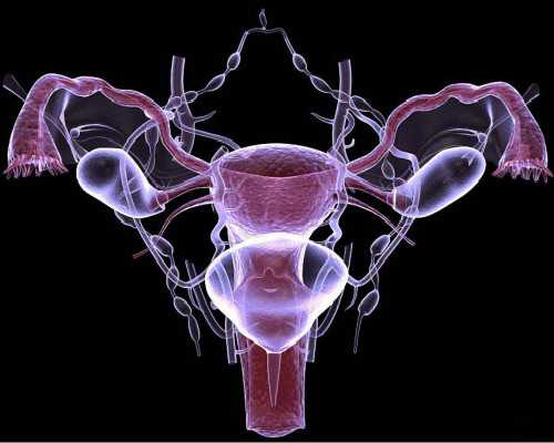 国内公立医院供卵试管价格,海口有医院开设生殖科做试管婴儿吗？哪些医院值得推荐？