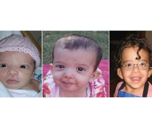 国内哪有私立供卵,为什么两次试管都是三级胚胎,直接移植还是养囊?