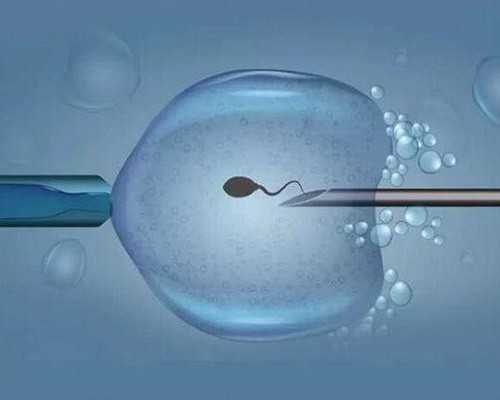 代怀妈微信群-代生儿子收费,孩子发烧能不能吃红枣，宝宝发热是怎么引起的