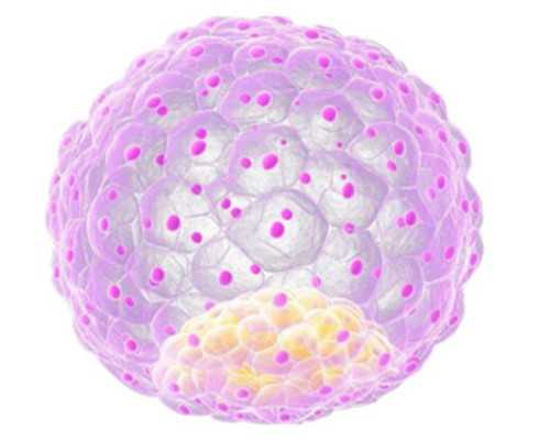 国内代怀男孩宝宝,卵泡黄素化怎么样才能怀孕