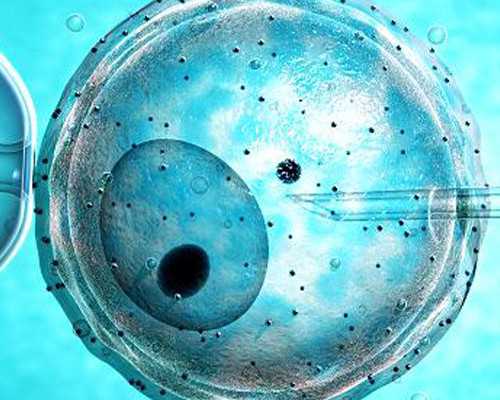 国内代怀包性别,手机屏幕出现竖条纹是怎么回事条纹（手机屏幕出现竖条纹是怎么回事）