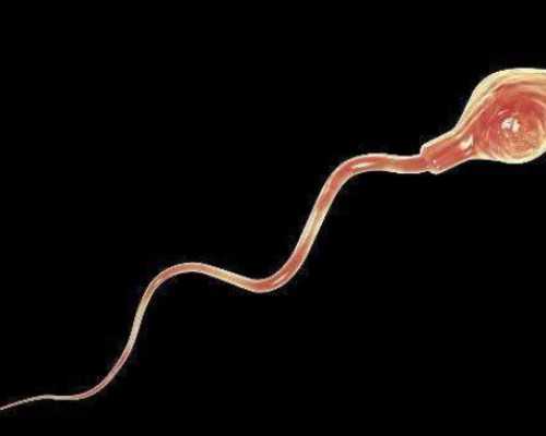 国内助孕供卵网点,冰箱多大功率需要多大插座（冰箱多大功率）